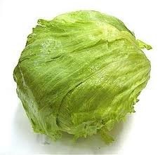 LECHUGA
