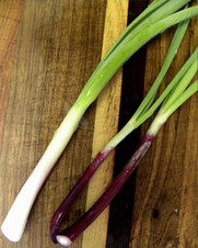 Cebolla Blanca Larga Gruesa atado x 3