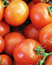 TOMATE RIÑON POR LIBRAS